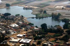 土壤水分對葉片特性有什么影響？