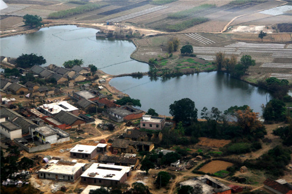 土壤水分對葉片特性有什么影響？