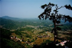 土壤水分速測儀在連翹種植中效果如何？