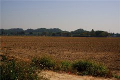 土壤水含量的變化對植物有哪些影響?