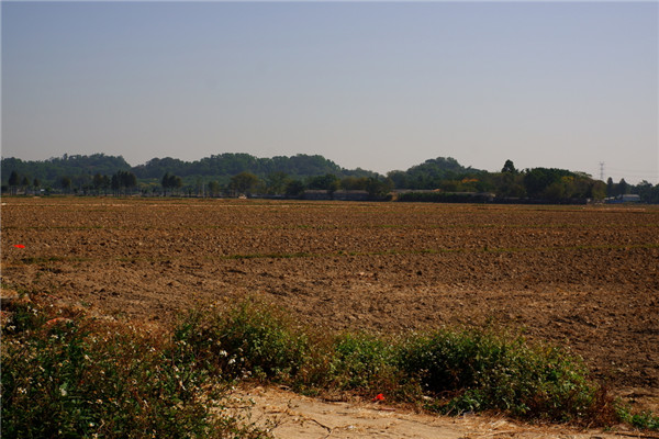 土壤水含量的變化對植物有哪些影響？