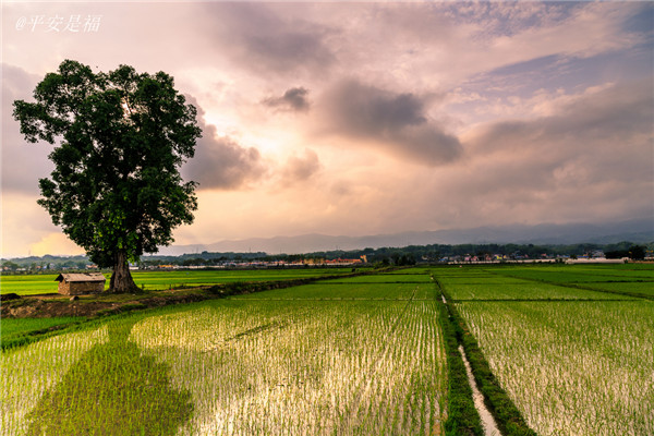 土壤墑情速測(cè)儀的使用效果怎么樣？