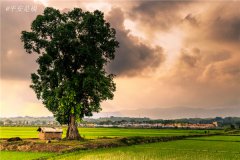 土壤水分速測(cè)儀主要有哪些優(yōu)點(diǎn)？