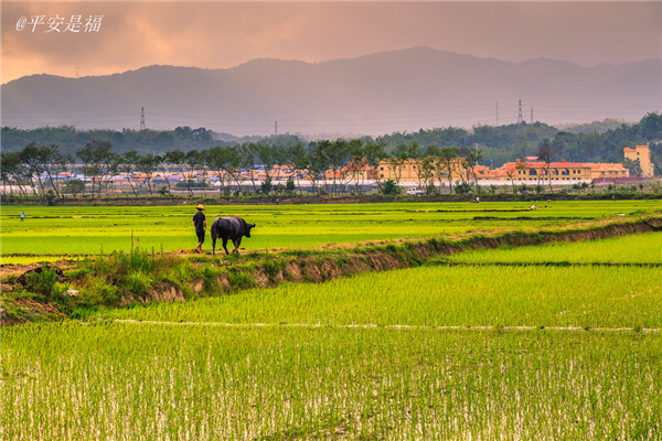 土壤養(yǎng)分速測儀實(shí)現(xiàn)用地與養(yǎng)地相結(jié)合 土壤養(yǎng)分速測儀實(shí)現(xiàn)用地與養(yǎng)地相結(jié)合