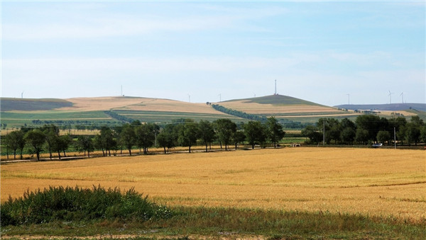 土壤墑情監(jiān)測站的分類和特點分析 土壤墑情監(jiān)測站的分類和特點分析