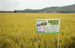 土壤墑情監(jiān)測(cè)系統(tǒng)的應(yīng)用效果怎么樣？