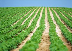 土壤墑情監(jiān)測站有哪些價值體現(xiàn)？