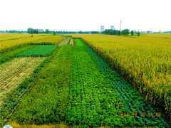 使用土壤墑情速測儀有哪些好處？