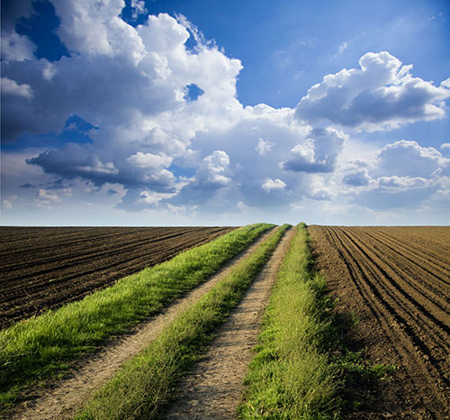 土壤墑情自動(dòng)檢測(cè)儀幫助火龍果種植過程 土壤墑情自動(dòng)檢測(cè)儀幫助火龍果種植過程
