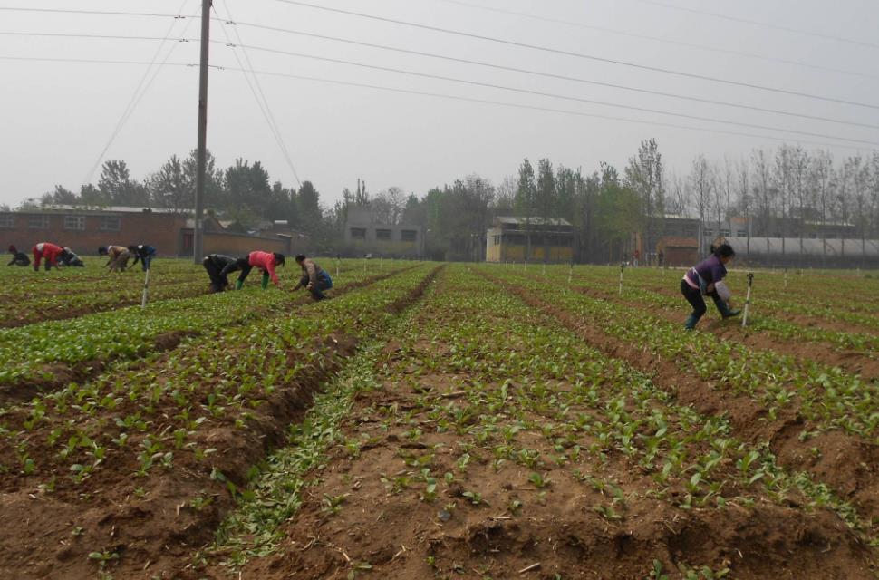 土壤含水量是如何計(jì)算的？