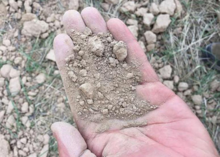 1597137719494517.jpg 360截圖20200811172144464.jpg