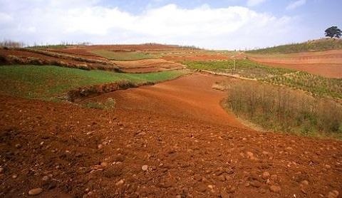 取樣方式不同對土壤墑情監(jiān)測精度有影響嗎？