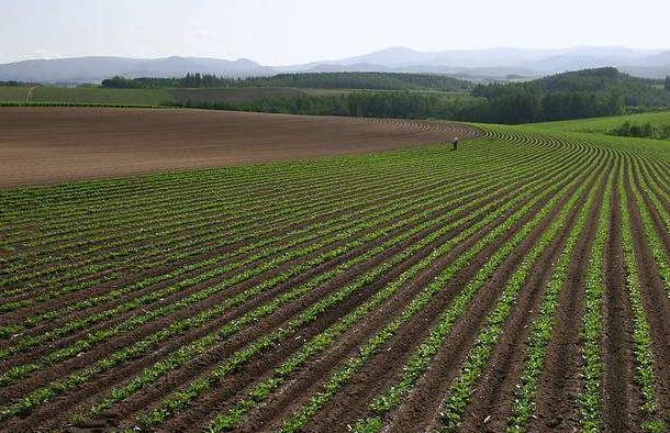 神經(jīng)網(wǎng)絡(luò)法能用于土壤墑情預(yù)測嗎？