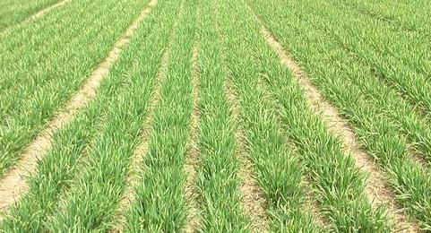 土壤墑情監(jiān)測(cè)系統(tǒng)在防汛抗旱中的應(yīng)用 土壤墑情監(jiān)測(cè)系統(tǒng)在防汛抗旱中的應(yīng)用