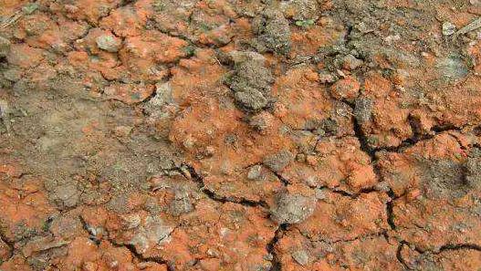 土壤墑情監(jiān)測(cè)站在濰坊地區(qū)的應(yīng)用 土壤墑情監(jiān)測(cè)站在濰坊地區(qū)的應(yīng)用