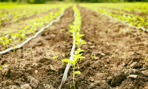 為什么要開展土壤墑情監(jiān)測工作？