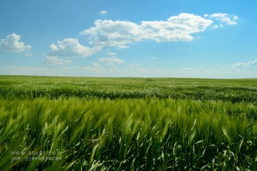 智慧農(nóng)業(yè)帶來(lái)了什么？