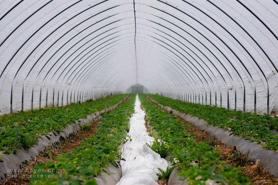 節(jié)水灌溉技術(shù) 節(jié)水灌溉技術(shù)